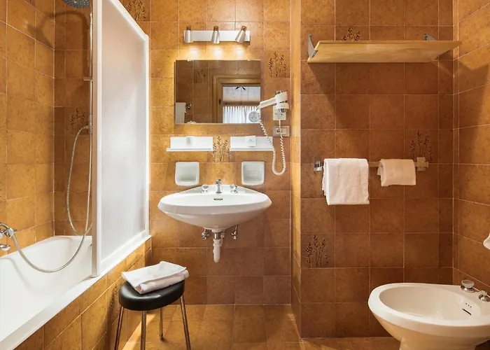 Hotel Montana 2*