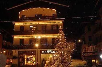 فندق Montana