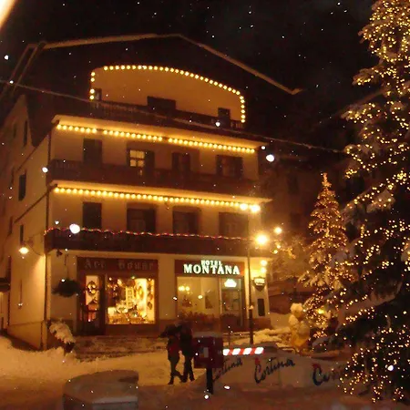 Hotel Montana 2*